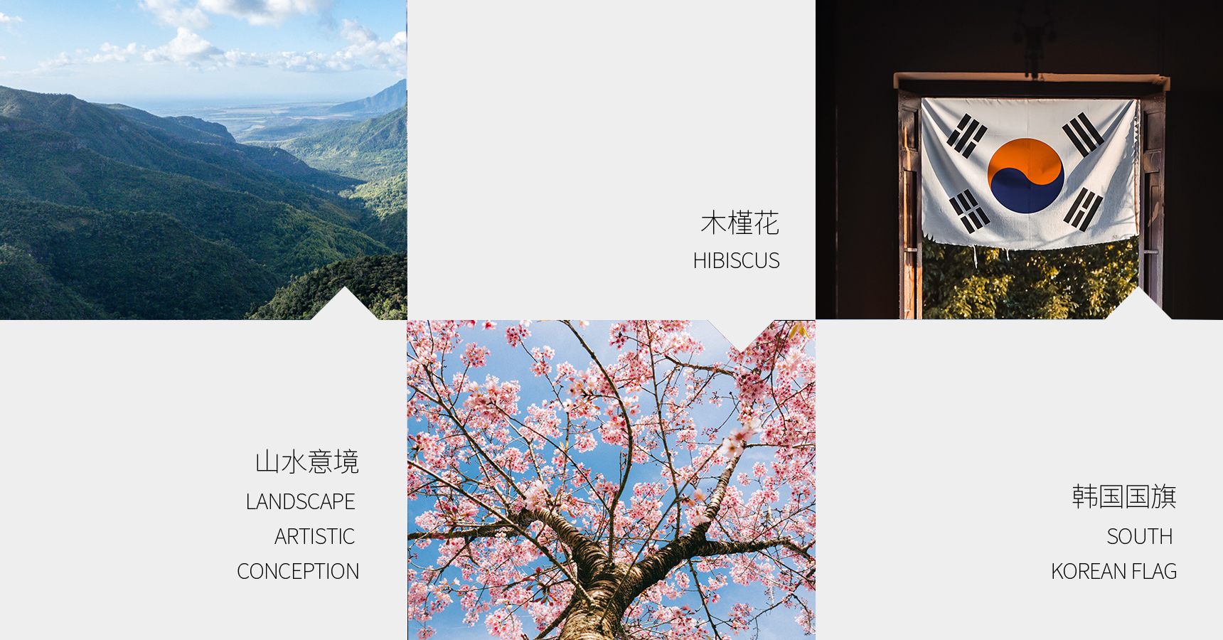 吉島湯_畫板 1 副本 ee.jpg